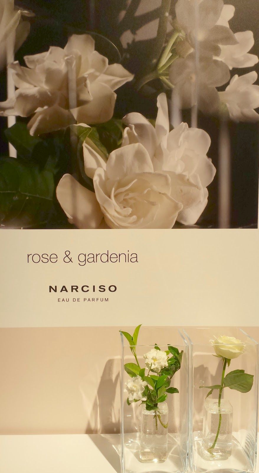 Narciso Rodriguez, Narciso, nueva fragancia, perfumes